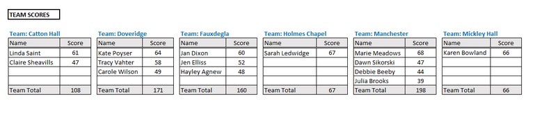 mickley APR Team Scores